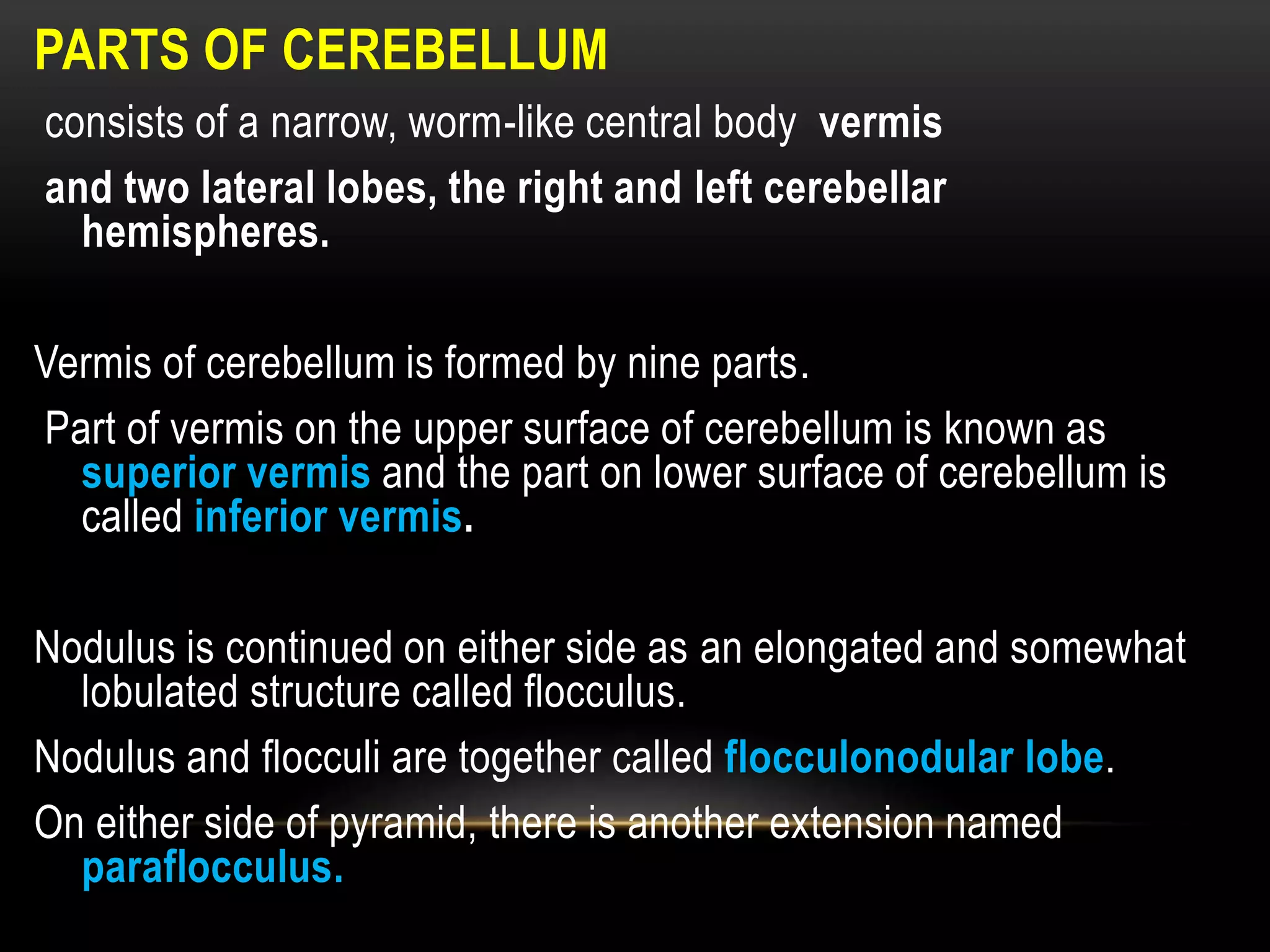 PARTS OF CEREBELLUM
consists of a narrow, worm-like central body vermis
and two lateral lobes, the right and left cerebellar
hemispheres.
Vermis of cerebellum is formed by nine parts.
Part of vermis on the upper surface of cerebellum is known as
superior vermis and the part on lower surface of cerebellum is
called inferior vermis.
Nodulus is continued on either side as an elongated and somewhat
lobulated structure called flocculus.
Nodulus and flocculi are together called flocculonodular lobe.
On either side of pyramid, there is another extension named
paraflocculus.
 