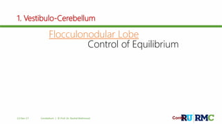 1. Vestibulo-Cerebellum
Flocculonodular Lobe
Control of Equilibrium
Contd….12-Dec-17 Cerebellum | © Prof. Dr. Rashid Mahmood
 