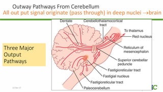 Outway Pathways From Cerebellum
All out put signal originate (pass through) in deep nuclei brain
12-Dec-17 Cerebellum | © Prof. Dr. Rashid Mahmood
Three Major
Output
Pathways
 