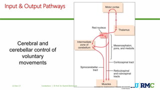 Cerebral and
cerebellar control of
voluntary
movements
Downloaded from: StudentConsult (on 17 December 2012 04:46 AM)
© 2005 Elsevier
Input & Output Pathways
12-Dec-17 Cerebellum | © Prof. Dr. Rashid Mahmood
 