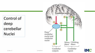 12-Dec-17 Cerebellum | © Prof. Dr. Rashid Mahmood
Control of
deep
cerebellar
Nuclei
 