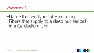 Assessment-3
•Name the two types of Ascending
Fibers that supply to a deep nuclear cell
in a Cerebellum Unit.
12-Dec-17 Cerebellum | © Prof. Dr. Rashid Mahmood
 