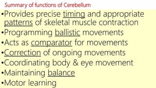 Summary of functions of Cerebellum
12-Dec-17 Cerebellum | © Prof. Dr. Rashid Mahmood
•Provides precise timing and appropriate
patterns of skeletal muscle contraction
•Programming ballistic movements
•Acts as comparator for movements
•Correction of ongoing movements
•Coordinating body & eye movement
•Maintaining balance
•Motor learning
 