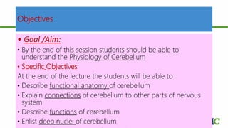 Objectives
12-Dec-17 Cerebellum | © Prof. Dr. Rashid Mahmood
• Goal /Aim:
• By the end of this session students should be able to
understand the Physiology of Cerebellum
• Specific Objectives
At the end of the lecture the students will be able to
• Describe functional anatomy of cerebellum
• Explain connections of cerebellum to other parts of nervous
system
• Describe functions of cerebellum
• Enlist deep nuclei of cerebellum
 