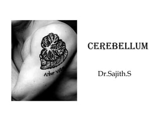 Cerebellum
Dr.Sajith.S

 