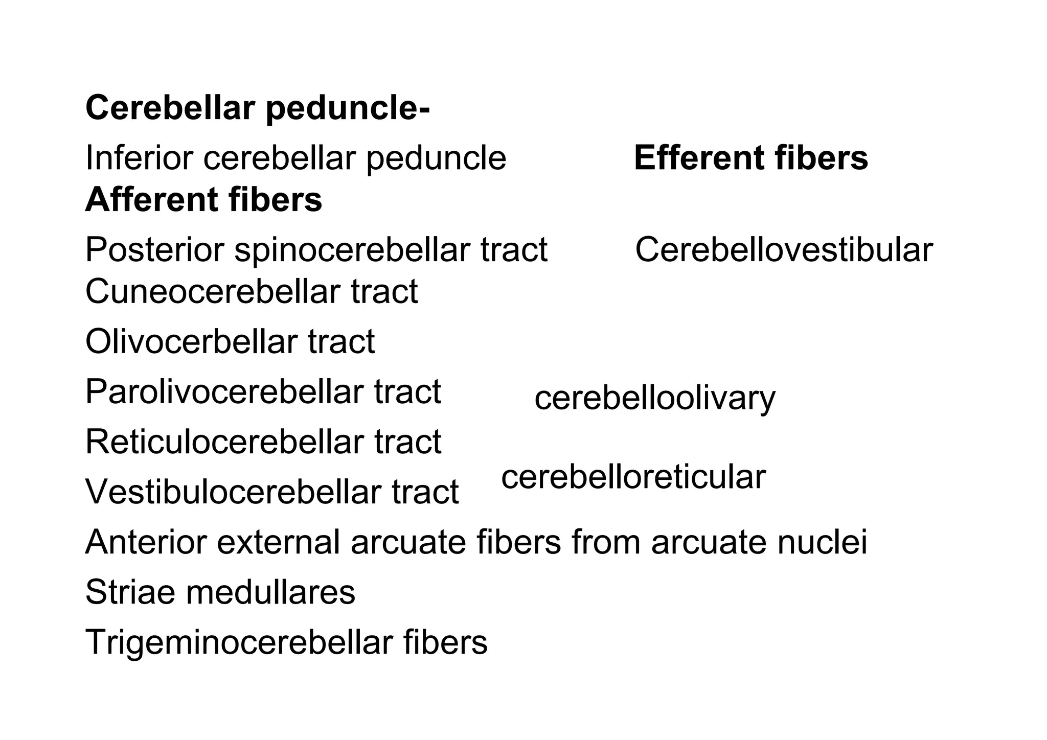 Cerebellar peduncle-
Inferior cerebellar peduncle Efferent fibers
Afferent fibers
Posterior spinocerebellar tract Cerebellovestibular
Cuneocerebellar tract
cerebelloolivary
Olivocerbellar tract
cerebelloreticular
Parolivocerebellar tract
Reticulocerebellar tract
Vestibulocerebellar tract
Anterior external arcuate fibers from arcuate nuclei
Striae medullares
Trigeminocerebellar fibers
 