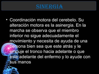 sInerGIa

• Coordinación motora del cerebelo. Su
  alteración motora es la asinergia. En la
  marcha se observa que el miembro
  inferior no sigue adecuadamente el
  movimiento y necesita de ayuda de una
  persona bien sea que este atrás y le
  empuje el tronco hacia adelante o que
  este adelante del enfermo y lo ayude con
  sus manos
 