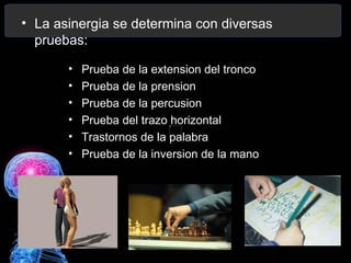 • La asinergia se determina con diversas
  pruebas:

       •   Prueba de la extension del tronco
       •   Prueba de la prension
       •   Prueba de la percusion
       •   Prueba del trazo horizontal
       •   Trastornos de la palabra
       •   Prueba de la inversion de la mano
 