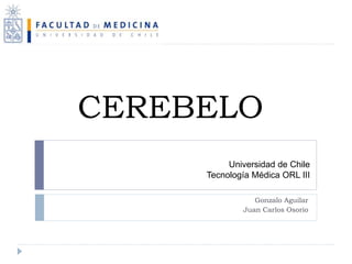CEREBELO
Gonzalo Aguilar
Juan Carlos Osorio
Universidad de Chile
Tecnología Médica ORL III
 