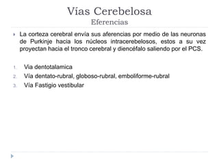 Vías Cerebelosa
Eferencias
 La corteza cerebral envía sus aferencias por medio de las neuronas
de Purkinje hacia los núcleos intracerebelosos, estos a su vez
proyectan hacia el tronco cerebral y diencéfalo saliendo por el PCS.
1. Via dentotalamica
2. Vía dentato-rubral, globoso-rubral, emboliforme-rubral
3. Vía Fastigio vestibular
 