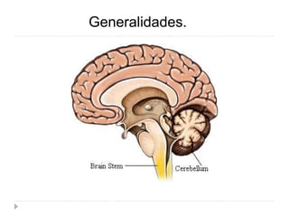 Generalidades.
 