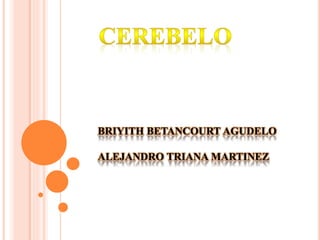 BRIYITH BETANCOURT AGUDELO
ALEJANDRO TRIANA MARTINEZ
 
