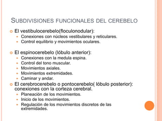 SUBDIVISIONES FUNCIONALES DEL CEREBELO
 El vestibulocerebelo(floculonodular):
 Conexiones con núcleos vestibulares y reticulares.
 Control equilibrio y movimientos oculares.
 El espinocerebelo (lóbulo anterior):
 Conexiones con la medula espina.
 Control del tono muscular.
 Movimientos axiales.
 Movimientos extremidades.
 Caminar y andar.
 El cerebrocerebelo o pontocerebelo( lóbulo posterior):
conexiones con la corteza cerebral.
 Planeación de los movimientos.
 Inicio de los movimientos.
 Regulación de los movimientos discretos de las
extremidades.
 