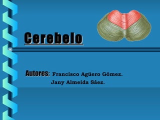 CerebeloCerebelo
Autores:Autores: Francisco Agüero Gómez.
Jany Almeida Sáez.
 