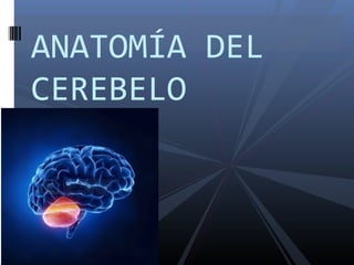 ANATOMÍA DEL
CEREBELO
 