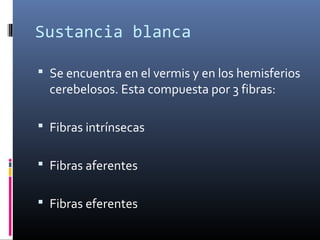 Sustancia blanca
 Se encuentra en el vermis y en los hemisferios
cerebelosos. Esta compuesta por 3 fibras:
 Fibras intrínsecas
 Fibras aferentes
 Fibras eferentes
 