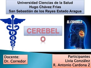 Participantes
Livia González
R. Antonio Cardona Z
Universidad Ciencias de la Salud
Hugo Chávez Frias
San Sebastián de los Reyes Estado Aragua
Docente:
Dr. Corredor
 