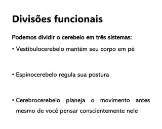 Divisões funcionais
Podemos dividir o cerebelo em três sistemas:
• Vestibulocerebelo mantém seu corpo em pé
• Espinocerebelo regula sua postura
• Cerebrocerebelo planeja o movimento antes
mesmo de você pensar conscientemente nele
 