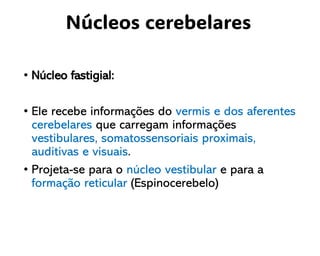 • Núcleo fastigial:
• Ele recebe informações do vermis e dos aferentes
cerebelares que carregam informações
vestibulares, somatossensoriais proximais,
auditivas e visuais.
• Projeta-se para o núcleo vestibular e para a
formação reticular (Espinocerebelo)
Núcleos cerebelares
 
