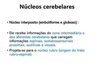 • Núcleo interposito (emboliforme e globoso) :
• Ele recebe informações do zona intermediária e
dos aferentes cerebelares que carregam
informações espinais, somatossensoriais
proximais, auditivas e visuais.
• Projeta-se para o núcleo rubro (origem do trato
rubro-espinal).
Núcleos cerebelares
 