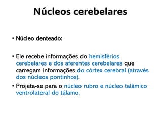 • Núcleo denteado:
• Ele recebe informações do hemisférios
cerebelares e dos aferentes cerebelares que
carregam informações do córtex cerebral (através
dos núcleos pontinhos).
• Projeta-se para o núcleo rubro e núcleo talâmico
ventrolateral do tálamo.
Núcleos cerebelares
 
