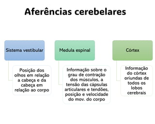 Aferências cerebelares
Sistema vestibular
Posição dos
olhos em relação
a cabeça e da
cabeça em
relação ao corpo
Medula espinal
Informação sobre o
grau de contração
dos músculos, a
tensão das cápsulas
articulares e tendões,
posição e velocidade
do mov. do corpo
Córtex
Informação
do córtex
oriundas de
todos os
lobos
cerebrais
 