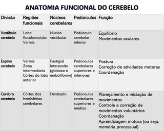 Divisão Regiões
funcionais
Núcleos
cerebelares
Pedúnculos Função
Vestibulo
cerebelo
Lobo
floculonodular
Vermis
Núcleo
vestibular
Pedúnculo
cerebelar
inferior
Equilíbrio
Movimentos oculares
Espino
cerebelo
Vermis
Zona
intermediaria
Córtex do lobo
anterior
Fastigial
Interposito
(globoso e
emboliforme)
Pedúnculos
cerebelares
superiores e
inferiores
Postura
Correção de atividades motoras
Coordenação
Cerebro
cerebelo
Córtex dos
hemisférios
cerebelares
Denteado Pedúnculos
cerebelares
superiores e
médios
Planejamento e iniciação de
movimentos
Controle e correção de
movimentos voluntários
Coordenação
Aprendizagem motora (ou seja,
memória processual)
ANATOMIA FUNCIONAL DO CEREBELO.
 