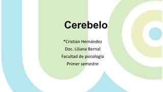 Cerebelo
*Cristian Hernández
Doc. Liliana Bernal
Facultad de psicología
Primer semestre
 