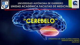 “CEREBELO”
CATEDRATICO: DR. DANIEL ALVAREZ SANDOVAL
JENNIFER GARCIA JIMENEZ
GRUPO 201
 