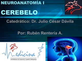 NEUROANATOMÍA I 
CEREBELO 
Catedrático: Dr. Julio César Dávila 
Por: Rubén Rentería A. 
 