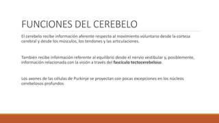 FUNCIONES DEL CEREBELO
El cerebelo recibe información aferente respecto al movimiento voluntario desde la corteza
cerebral y desde los músculos, los tendones y las articulaciones.
También recibe información referente al equilibrio desde el nervio vestibular y, posiblemente,
información relacionada con la visión a través del fascículo tectocerebeloso.
Los axones de las células de Purkinje se proyectan con pocas excepciones en los núcleos
cerebelosos profundos
 