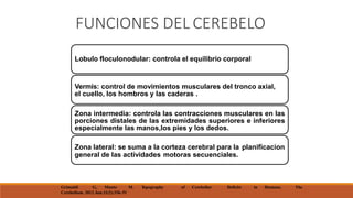 FUNCIONES DEL CEREBELO
Lobulo floculonodular: controla el equilibrio corporal
Vermis: control de movimientos musculares del tronco axial,
el cuello, los hombros y las caderas .
Zona intermedia: controla las contracciones musculares en las
porciones distales de las extremidades superiores e inferiores
especialmente las manos,los pies y los dedos.
Zona lateral: se suma a la corteza cerebral para la planificacion
general de las actividades motoras secuenciales.
Grimaldi G, Manto M. Topography of Cerebellar Deficits in Humans. The
Cerebellum. 2012 Jun;11(2):336–51
 