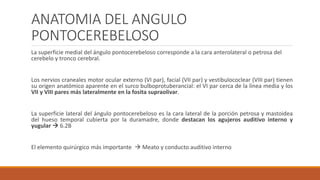 ANATOMIA DEL ANGULO
PONTOCEREBELOSO
La superficie medial del ángulo pontocerebeloso corresponde a la cara anterolateral o petrosa del
cerebelo y tronco cerebral.
Los nervios craneales motor ocular externo (VI par), facial (VII par) y vestibulococlear (VIII par) tienen
su origen anatómico aparente en el surco bulboprotuberancial: el VI par cerca de la línea media y los
VII y VIII pares más lateralmente en la fosita supraolivar.
La superficie lateral del ángulo pontocerebeloso es la cara lateral de la porción petrosa y mastoidea
del hueso temporal cubierta por la duramadre, donde destacan los agujeros auditivo interno y
yugular  6.2B
El elemento quirúrgico más importante  Meato y conducto auditivo interno
 