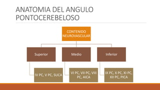 ANATOMIA DEL ANGULO
PONTOCEREBELOSO
CONTENIDO
NEUROVASCULAR
Superior
IV PC, V PC, SUCA
Medio
VI PC, VII PC, VIII
PC, AICA
Inferior
IX PC, X PC, XI PC,
XII PC, PICA
 