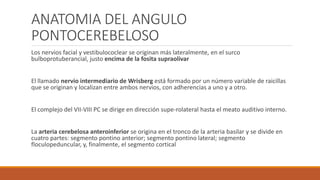 ANATOMIA DEL ANGULO
PONTOCEREBELOSO
Los nervios facial y vestibulococlear se originan más lateralmente, en el surco
bulboprotuberancial, justo encima de la fosita supraolivar
El llamado nervio intermediario de Wrisberg está formado por un número variable de raicillas
que se originan y localizan entre ambos nervios, con adherencias a uno y a otro.
El complejo del VII-VIII PC se dirige en dirección supe-rolateral hasta el meato auditivo interno.
La arteria cerebelosa anteroinferior se origina en el tronco de la arteria basilar y se divide en
cuatro partes: segmento pontino anterior; segmento pontino lateral; segmento
floculopeduncular, y, finalmente, el segmento cortical
 