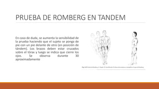 PRUEBA DE ROMBERG EN TANDEM
En caso de duda, se aumenta la sensibilidad de
la prueba haciendo que el sujeto se ponga de
pie con un pie delante de otro (en posición de
tándem). Los brazos deben estar cruzados
sobre el tórax y luego se indica que cierre los
ojos. Se observa durante 30
aproximadamente
 