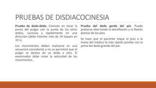 PRUEBAS DE DISDIACOCINESIA
Prueba de dedo-dedo. Consiste en tocar la
punta del pulgar con la punta de los otros
dedos, sucesiva y rápidamente en una
dirección (debe intentar más de 14 toques en
10 s).
Los movimientos deben realizarse en una
secuencia consistente y no se permitirá que el
pulgar se deslice de un dedo a otro. El
examinador debe notar la velocidad de los
movimientos.
Prueba del dedo gordo del pie. Puede
probarse alternando la dorsiflexión y la flexión
plantar de los pies.
Se hace que el paciente toque el piso o la
mano del médico lo más rápido posible con la
yema del dedo grande del pie.
 