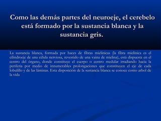 Como las ddeemmááss ppaarrtteess ddeell nneeuurrooeejjee,, eell cceerreebbeelloo 
eessttáá ffoorrmmaaddoo ppoorr llaa ssuussttaanncciiaa bbllaannccaa yy llaa 
ssuussttaanncciiaa ggrriiss.. 
LLaa ssuussttaanncciiaa bbllaannccaa,, ffoorrmmaaddaa ppoorr hhaacceess ddee ffiibbrraass mmiieellíínniiccaass ((llaa ffiibbrraa mmiieellíínniiccaa eess eell 
cciilliinnddrrooeejjee ddee uunnaa ccéélluullaa nneerrvviioossaa,, rreevveessttiiddoo ddee uunnaa vvaaiinnaa ddee mmiieelliinnaa)),, eessttáá ddiissppuueessttaa eenn eell 
cceennttrroo ddeell óórrggaannoo,, ddoonnddee ccoonnssttiittuuyyee eell ccuueerrppoo oo cceennttrroo mmeedduullaarr iirrrraaddiiaannddoo hhaacciiaa llaa 
ppeerriiffeerriiaa ppoorr mmeeddiioo ddee iinnnnuummeerraabblleess pprroolloonnggaacciioonneess qquuee ccoonnssttiittuuyyeenn eell eejjee ddee ccaaddaa 
lloobbuulliilllloo yy ddee llaass lláámmiinnaass.. EEssttaa ddiissppoossiicciióónn ddee llaa ssuussttaanncciiaa bbllaannccaa ssee ccoonnooccee ccoommoo aarrbbooll ddee 
llaa vviiddaa 
 