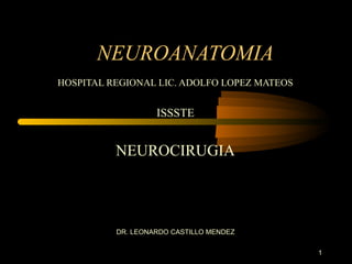 NEUROANATOMIA
HOSPITAL REGIONAL LIC. ADOLFO LOPEZ MATEOS
ISSSTE
NEUROCIRUGIA
DR. LEONARDO CASTILLO MENDEZ
1
 