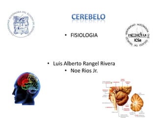 • FISIOLOGIA

• Luis Alberto Rangel Rivera
• Noe Rios Jr.

 