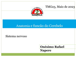 Anatomia e funcão do Cerebelo
Onésimo Rafael
Napere
Sistema nervoso
TMG23, Maio de 2023
 