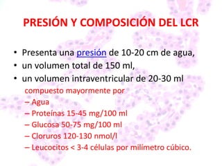 PRESIÓN Y COMPOSICIÓN DEL LCR
• Presenta una presión de 10-20 cm de agua,
• un volumen total de 150 ml,
• un volumen intraventricular de 20-30 ml
compuesto mayormente por
– Agua
– Proteínas 15-45 mg/100 ml
– Glucosa 50-75 mg/100 ml
– Cloruros 120-130 nmol/l
– Leucocitos < 3-4 células por milímetro cúbico.
 