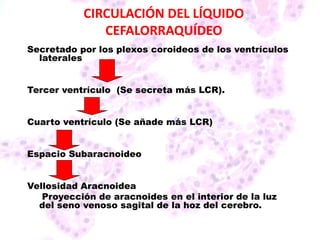 CIRCULACIÓN DEL LÍQUIDO
CEFALORRAQUÍDEO
Secretado por los plexos coroideos de los ventrículos
laterales
Tercer ventrículo (Se secreta más LCR).
Cuarto ventrículo (Se añade más LCR)
Espacio Subaracnoideo
Vellosidad Aracnoidea
Proyección de aracnoides en el interior de la luz
del seno venoso sagital de la hoz del cerebro.
 