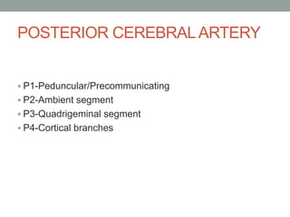 POSTERIOR CEREBRALARTERY
 P1-Peduncular/Precommunicating
 P2-Ambient segment
 P3-Quadrigeminal segment
 P4-Cortical branches
 