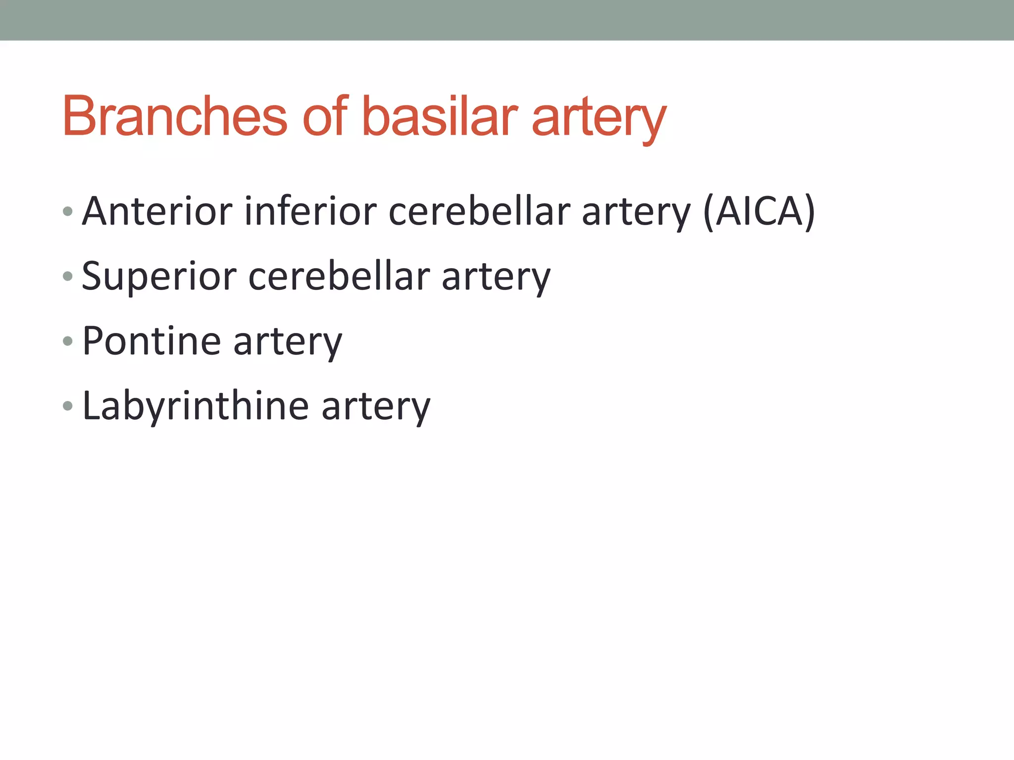 Branches of basilar artery
• Anterior inferior cerebellar artery (AICA)
• Superior cerebellar artery
• Pontine artery
• Labyrinthine artery
 
