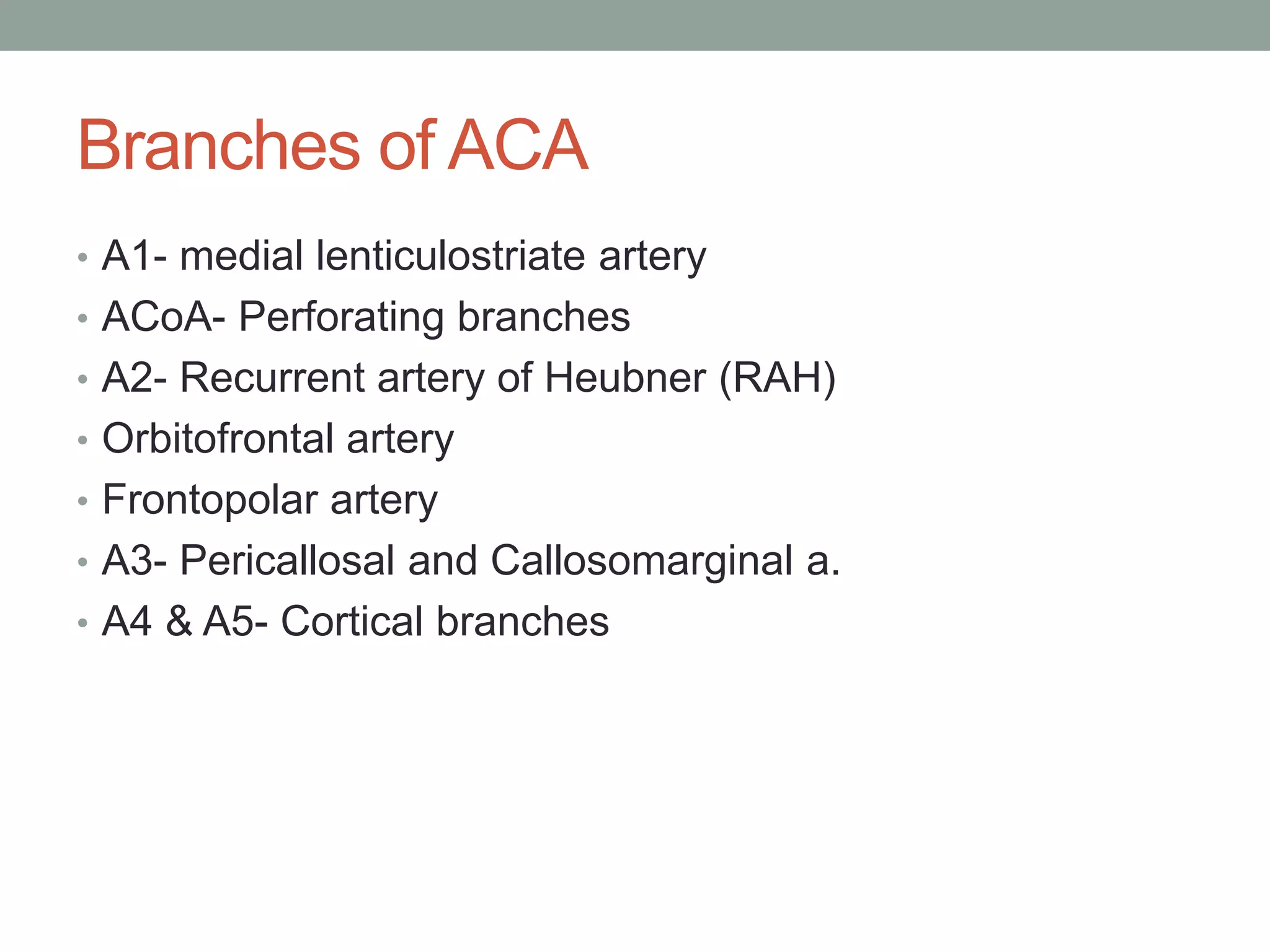 Branches of ACA
• A1- medial lenticulostriate artery
• ACoA- Perforating branches
• A2- Recurrent artery of Heubner (RAH)
• Orbitofrontal artery
• Frontopolar artery
• A3- Pericallosal and Callosomarginal a.
• A4 & A5- Cortical branches
 