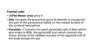 Frontal Lobe:
• (1)The Motor area )area 4
• Site: occupies the precentral gyrus & extends to occupy the
ant part of the paracentral lobule on the medial Surface of
the cerebral hemisphere
• Function: it Contains the giant pyramidal cells of Betz which
give origin to 80%. the pyramidal tract which controls the
motor activity of the skeletal muscles of the opposite half of
the body (except the eye
 