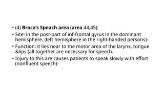• (4) Broca’s Speach area (area 44,45):
• Site: in the post-part of inf-frontal gyrus in the dominant
hemisphere. (left hemisphere in the right-handed persons)-
• Function: it lies near to the motor area of the larynx, tongue
&lips (all together are necessary for speech.
• Injury to this are causes patients to speak slowly with effort
(nonfluent speech)-
 