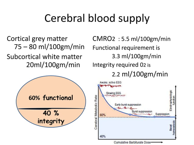 Cerebral blood flow | PPTX | Brain and Nervous System Disorders ...