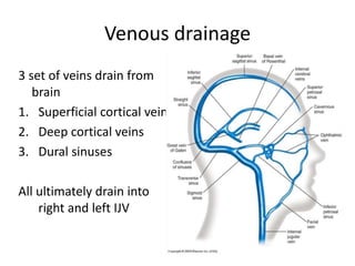 Venous drainage
3 set of veins drain from
brain
1. Superficial cortical vein
2. Deep cortical veins
3. Dural sinuses
All ultimately drain into
right and left IJV
 
